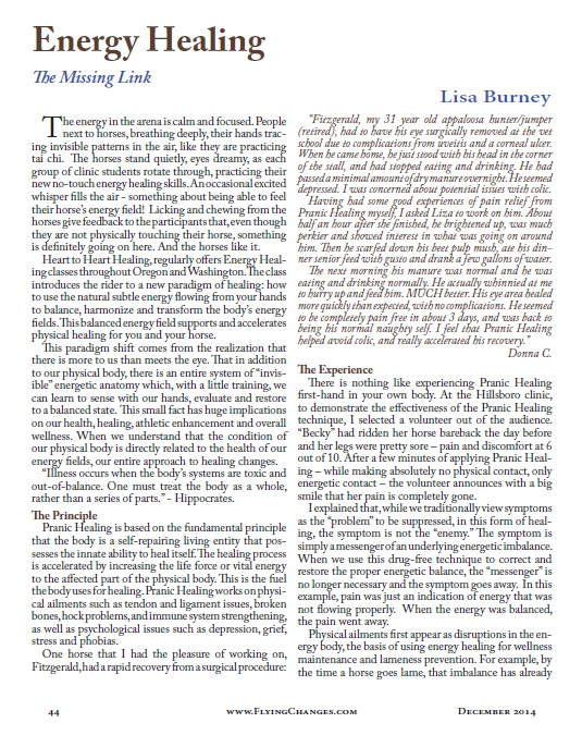 horses article